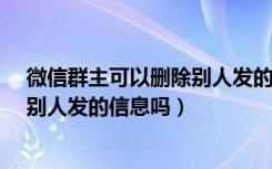 微信群主可以删除别人发的消息吗?（微信群群主可以删除别人发的信息吗）