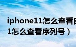 iphone11怎么查看自己的id密码（iphone11怎么查看序列号）