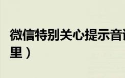 微信特别关心提示音试听（微信特别关心在哪里）