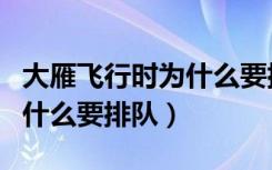 大雁飞行时为什么要排队图片（大雁飞行时为什么要排队）