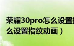 荣耀30pro怎么设置指纹样式（荣耀30pro怎么设置指纹动画）