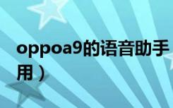 oppoa9的语音助手（oppoa9语音翻译怎么用）