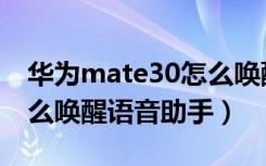 华为mate30怎么唤醒语音（华为mate30怎么唤醒语音助手）