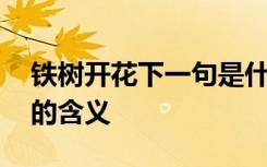 铁树开花下一句是什么意思 铁树开花下一句的含义