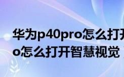 华为p40pro怎么打开智慧视觉（华为p40pro怎么打开智慧视觉）