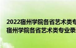 2022宿州学院各省艺术类专业录取分数线是多少啊（2022宿州学院各省艺术类专业录取分数线是多少）