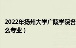 2022年扬州大学广陵学院各省招生计划及招生人数（都招什么专业）