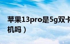 苹果13pro是5g双卡吗（苹果13pro是5g手机吗）