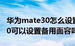 华为mate30怎么设置备用面容（华为mate30可以设置备用面容吗）