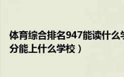 体育综合排名947能读什么学校（2022健康服务与管理480分能上什么学校）