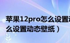 苹果12pro怎么设置动态屏保（苹果12pro怎么设置动态壁纸）