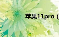 苹果11pro（max多少寸）