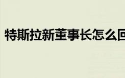 特斯拉新董事长怎么回事罗宾-丹霍尔姆是谁