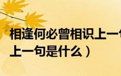 相逢何必曾相识上一句抖音（相逢何必曾相识上一句是什么）