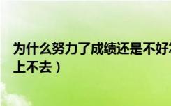 为什么努力了成绩还是不好怎么办（努力了为什么成绩还是上不去）