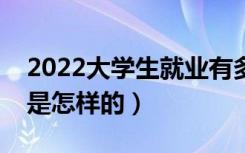 2022大学生就业有多难（大学生找工作现状是怎样的）