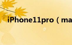 iPhone11pro（max怎么恢复被删照片）