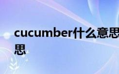 cucumber什么意思 英语cucumber什么意思