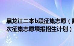 黑龙江二本b段征集志愿（黑龙江2022本科一批B段最后一次征集志愿填报招生计划）