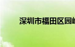 深圳市福田区园岭小学的地址在哪