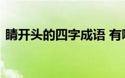 睛开头的四字成语 有哪些睛开头的四字成语