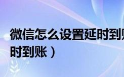 微信怎么设置延时到账时间（微信怎么设置延时到账）