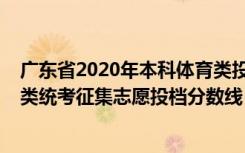 广东省2020年本科体育类投档线（广东2022高考本科体育类统考征集志愿投档分数线）