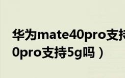 华为mate40pro支持66w快充（华为mate40pro支持5g吗）