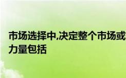 市场选择中,决定整个市场或任何细分市场长期内在吸引力的力量包括