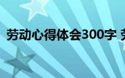 劳动心得体会300字 劳动心得体会具体内容