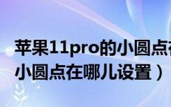 苹果11pro的小圆点在哪里设置（苹果13pro小圆点在哪儿设置）