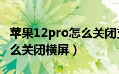 苹果12pro怎么关闭支付免密（苹果12pro怎么关闭横屏）