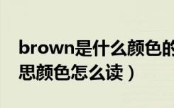 brown是什么颜色的意思（brown是什么意思颜色怎么读）