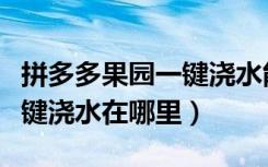 拼多多果园一键浇水能撤回吗（拼多多果园一键浇水在哪里）