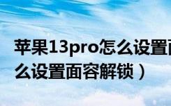 苹果13pro怎么设置面部识别（苹果13pro怎么设置面容解锁）