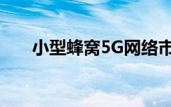 小型蜂窝5G网络市场的全球行业分析