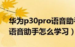 华为p30pro语音助手怎么开（华为p30pro语音助手怎么学习）