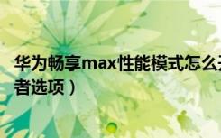 华为畅享max性能模式怎么开（华为畅享max怎么打开开发者选项）