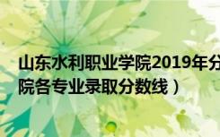 山东水利职业学院2019年分数线（2019年山东水利职业学院各专业录取分数线）