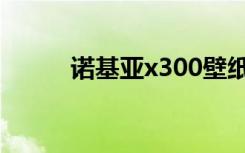 诺基亚x300壁纸（诺基亚x300）