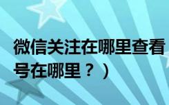 微信关注在哪里查看（微信关注的微信官方账号在哪里？）