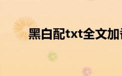 黑白配txt全文加番外（黑白配txt）