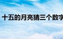 十五的月亮猜三个数字（十五的月亮猜成语）