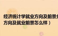 经济统计学就业方向及前景分析（2022经济统计学专业就业方向及就业前景怎么样）