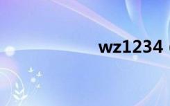 wz1234（wz123）