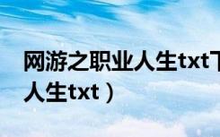 网游之职业人生txt下载笔趣阁（网游之职业人生txt）