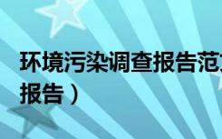 环境污染调查报告范文500字（环境污染调查报告）