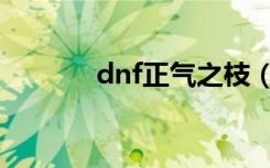 dnf正气之枝（dnf正气之剑）