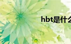 hbt是什么（hbtv）