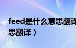 feed是什么意思翻译成中文（feed是什么意思翻译）